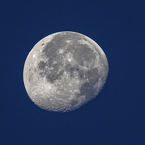 Mond morgens