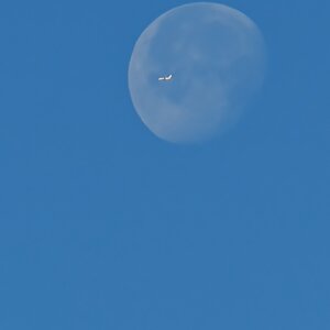 Flieger mit Mond .jpg