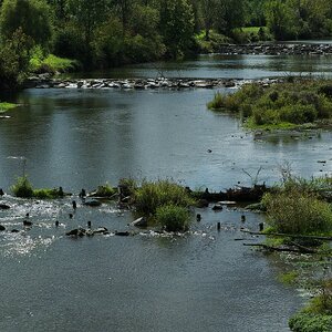Flusslandschaft Traisen
