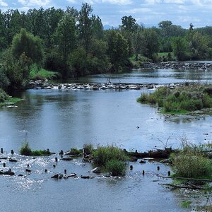 Flusslandschaft Traisen