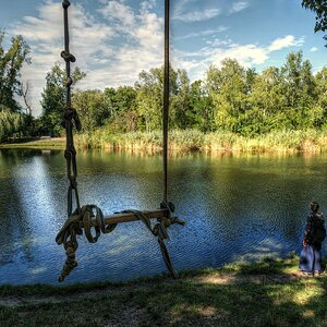 Ausgeschaukelt (2)