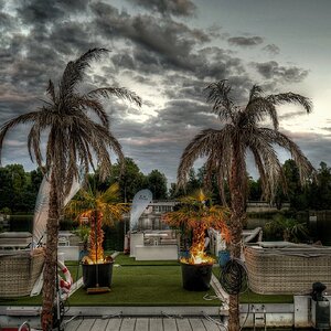 Abendstimmung mit Palmen