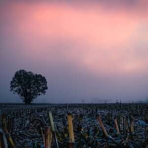 Farben am Morgen