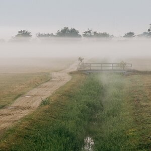 vor dem Nebel