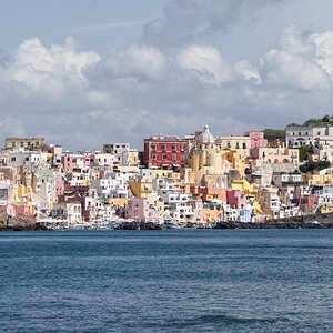 Bella Procida