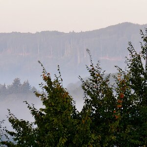 Frühherbstlicher Morgen