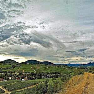 W&W (Wein&Wald)