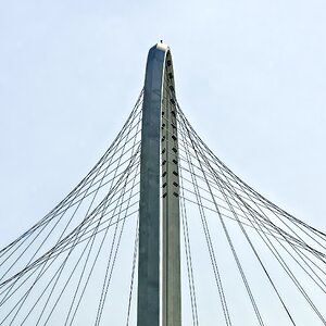 P1123899 F.jpg