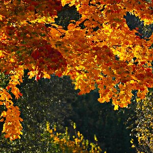 prachtvoller Herbst