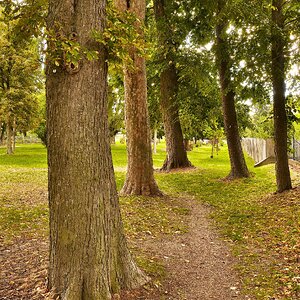 in den Park gehen