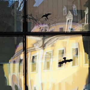 Vorsicht Fenster.jpg