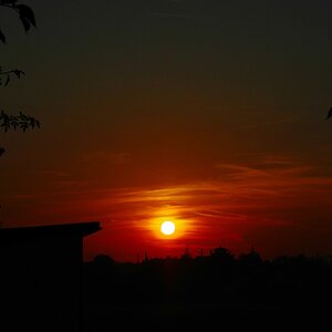 Guten Morgen Sonnenschein.