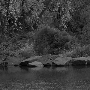 Flusslandschaft