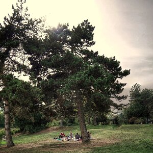 Picknick