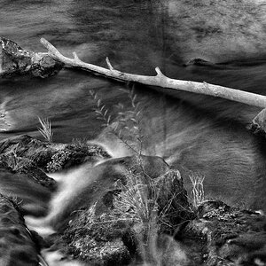 Flusslandschaft