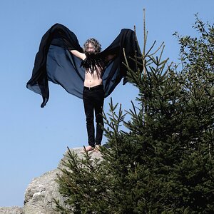 31 ISO-2080 Fledermaus.jpg