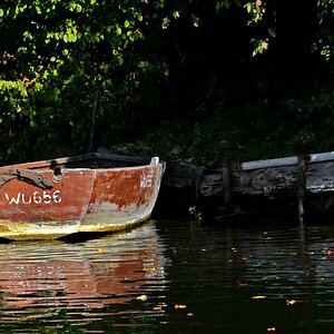 am Mainufer