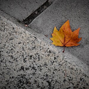 Herbst