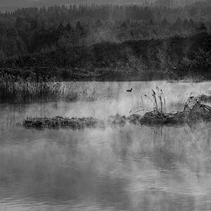 Nebel