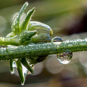 Wassertropfen