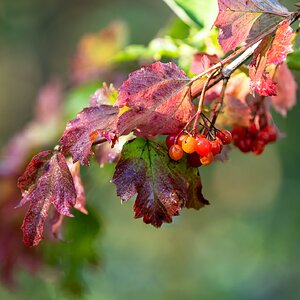 herbstlich