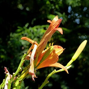 Den 'Wassertropfen' entgegen