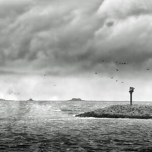 Die See
