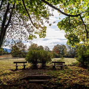 Herbststern über den Sitzbänken