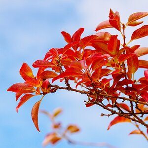 Bunter Herbst