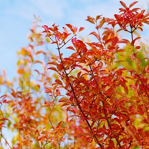 Bunter Herbst