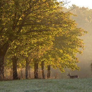 Herbstmorgen
