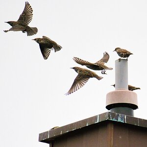 ....und Abflug!