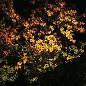 Herbstnacht