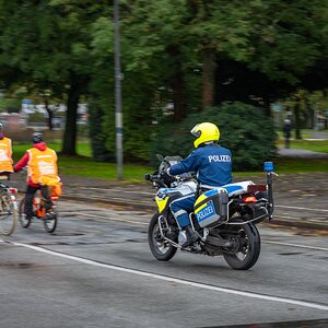 Schlußlicht_2026-10.jpg