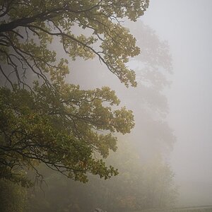 Mistwetter II