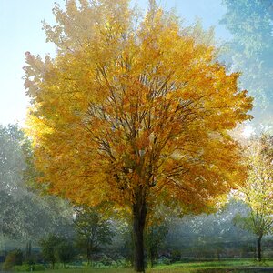 Goldener Oktober