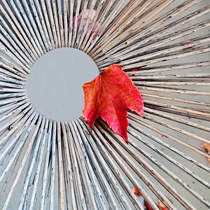 Radial