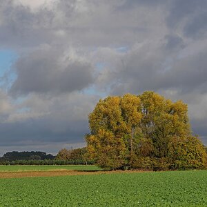 Herbstlandschaft