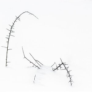 Schneebedeckt