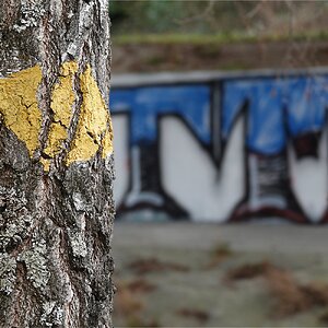 Wanderweg