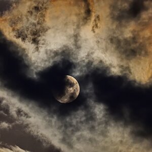Howling to the moon.