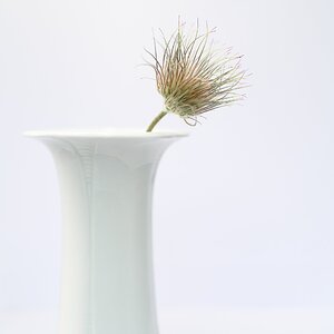 White_vase_with_kitchen_bell_2026-04.jpg