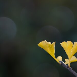 Der Herbst ist da