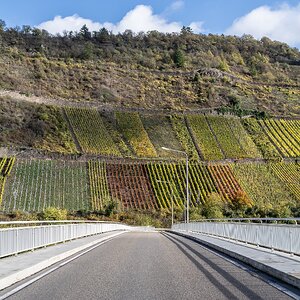 Brücke zum Wein