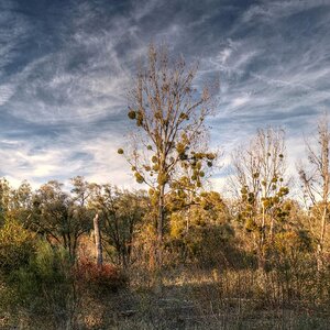 Herbst im Auenland