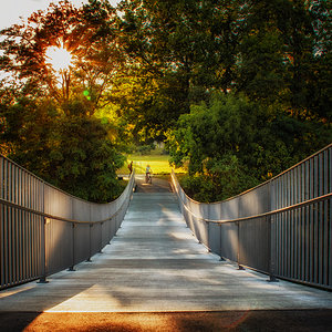 A Walk In The Park