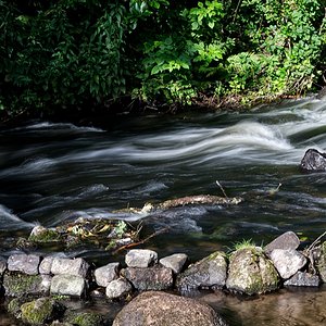 Wildwasser