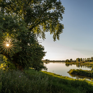 Sommerabend ...