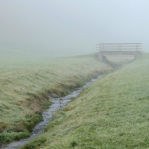 voll der Nebel II