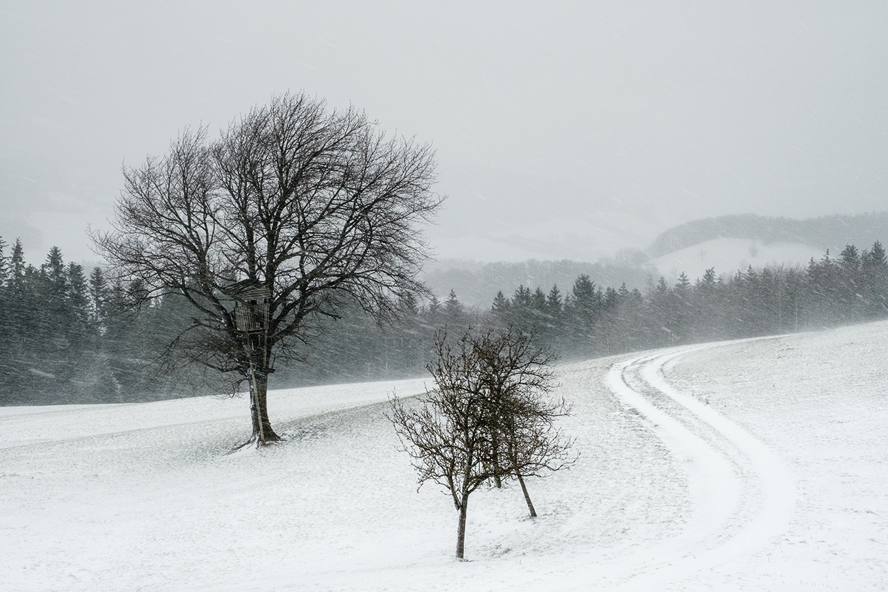 01_Januar: white out- der Hochsitz